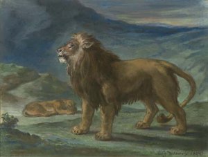 Lion et lionne dans les montagnes