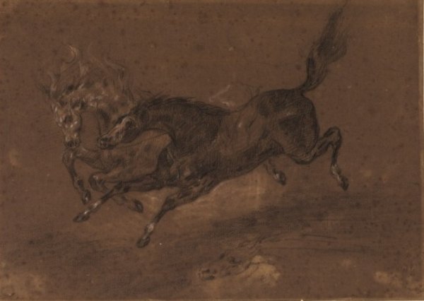 Horses running