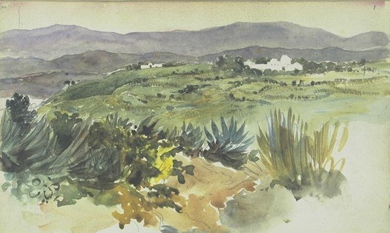 Landscape near Tangier