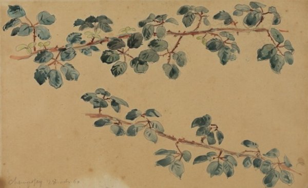 Two branches with leaves